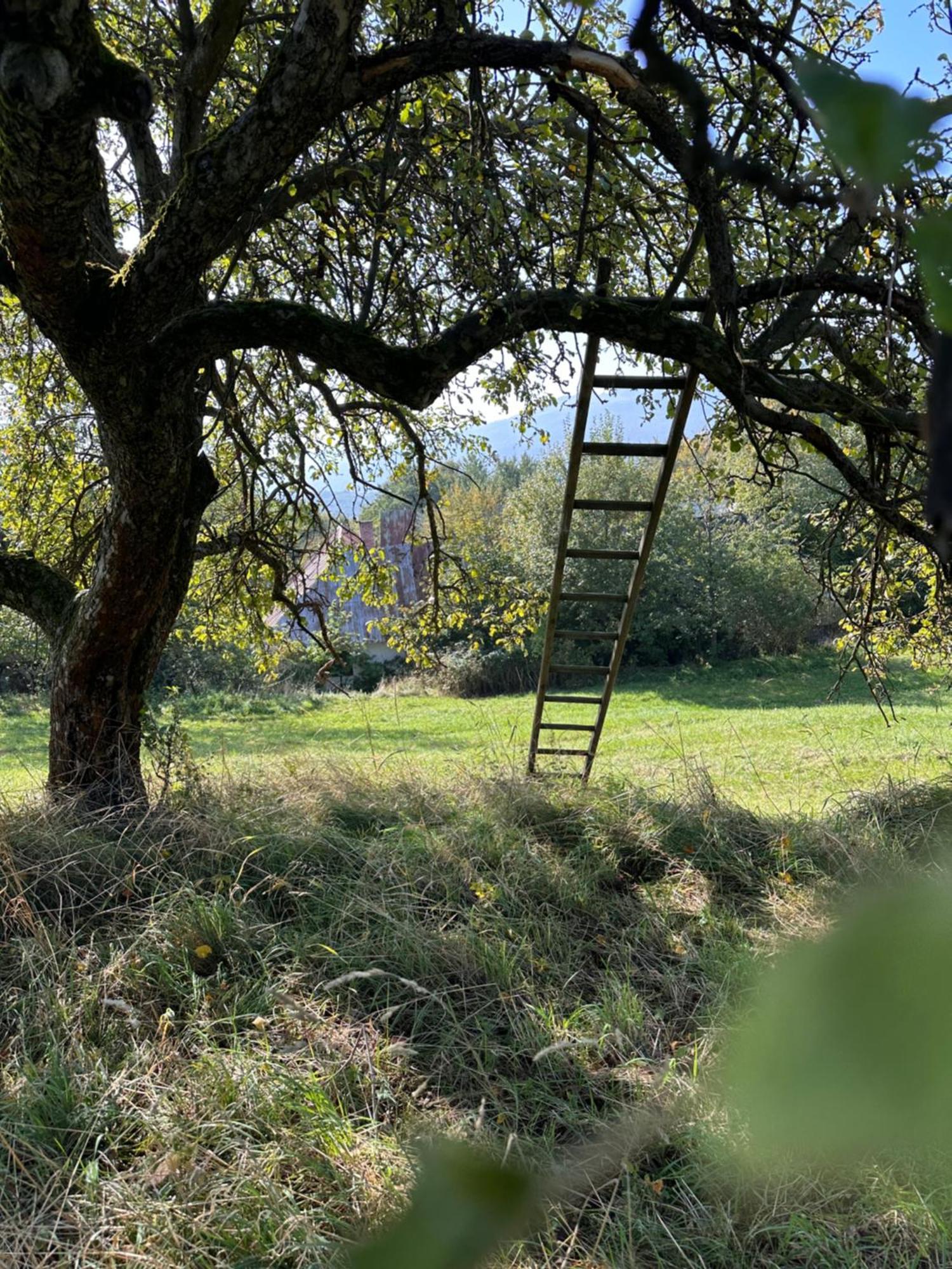 Nadherne Misto Pro Vas Relax V Prirode Uherske Hradiste Luaran gambar